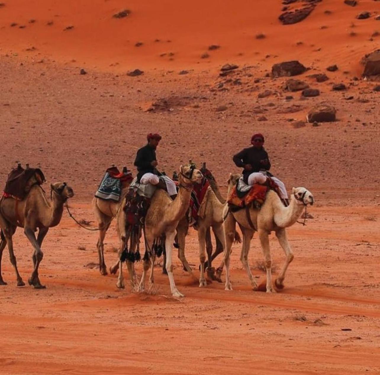 Hotel Bedouin Bunch Camp Wadi Rum Esterno foto