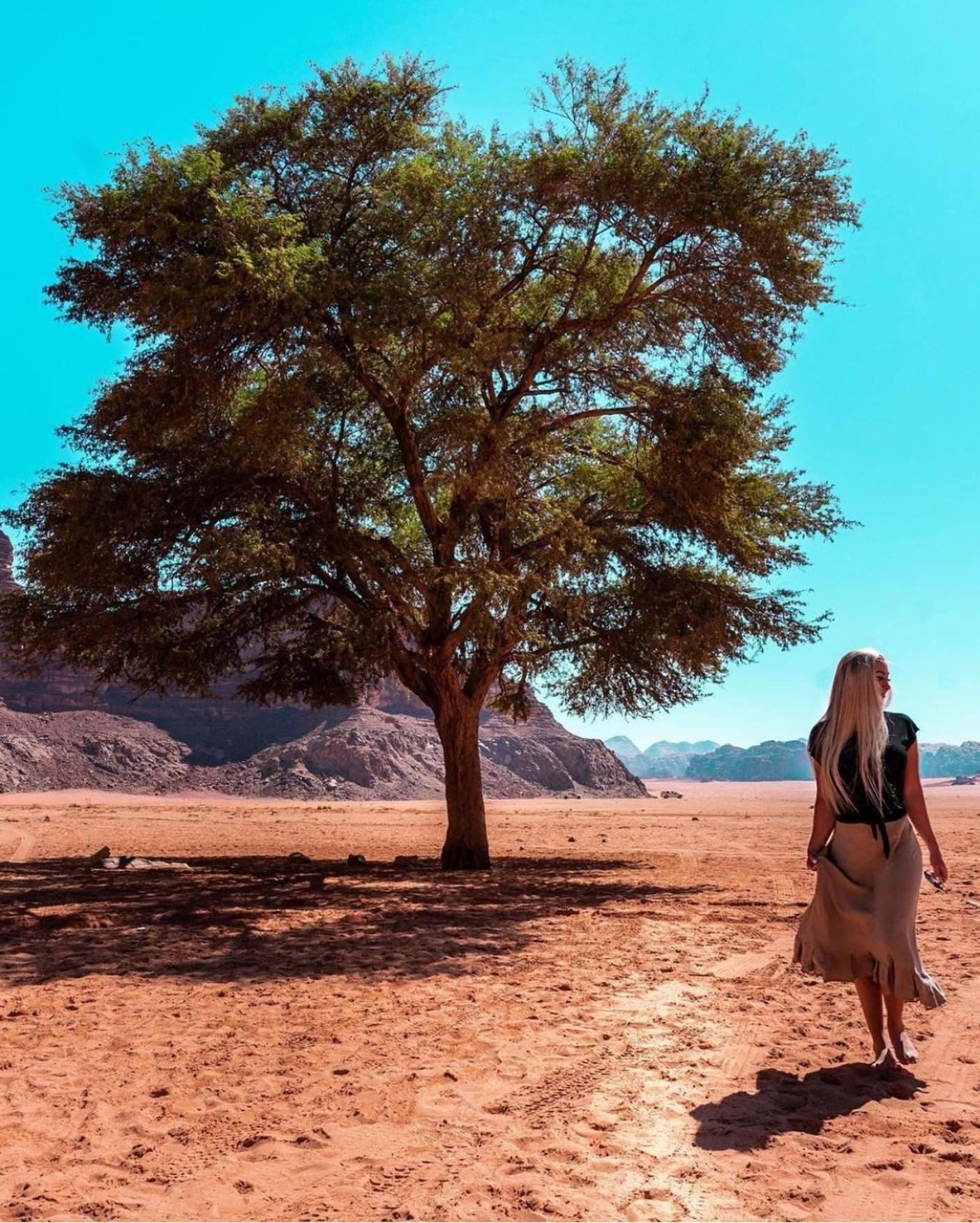 Hotel Bedouin Bunch Camp Wadi Rum Esterno foto