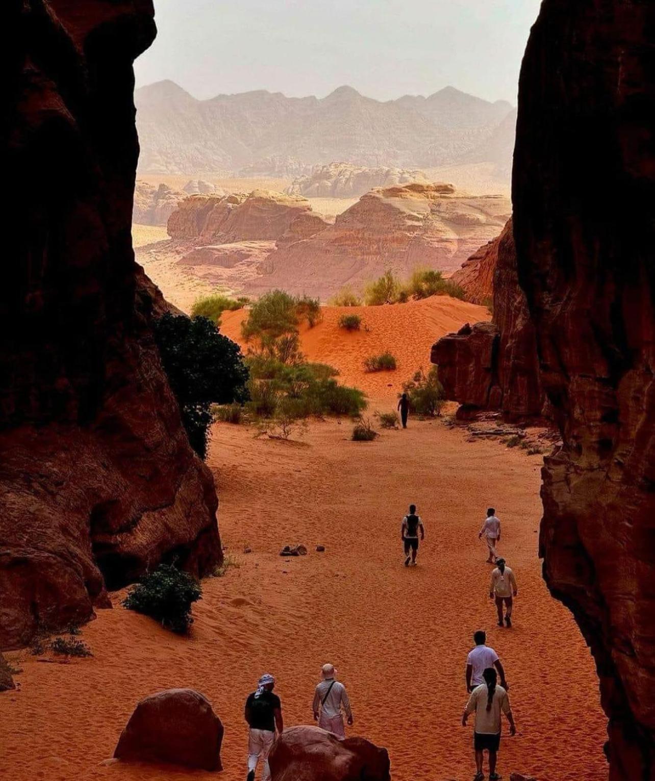 Hotel Bedouin Bunch Camp Wadi Rum Esterno foto